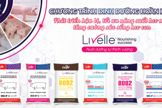 Livelle 8082 - Giải pháp dinh dưỡng tiên phong của Cargill
